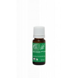 Esenciální olej s vůní eukalyptu BIO Tierra Verde - 10 ml