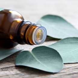 Esenciální olej s vůní eukalyptu BIO Tierra Verde - 10 ml